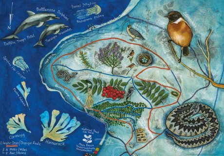 Llanbedrog Wildlife Safari