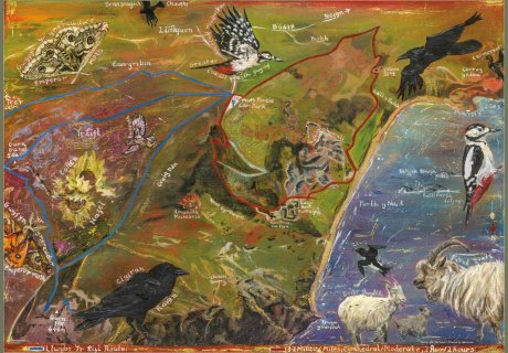 Nant Gwrtheyrn Wildlife Safari 