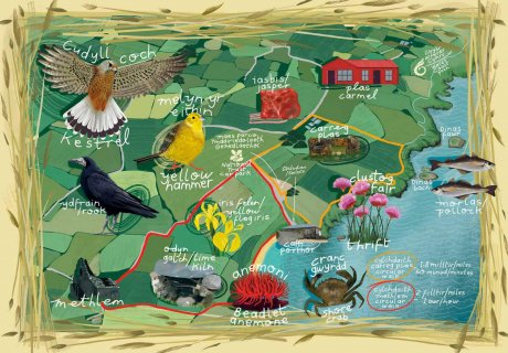 Porthor Wildlife Safari