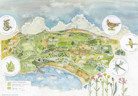 Rhiw Wildlife Safari